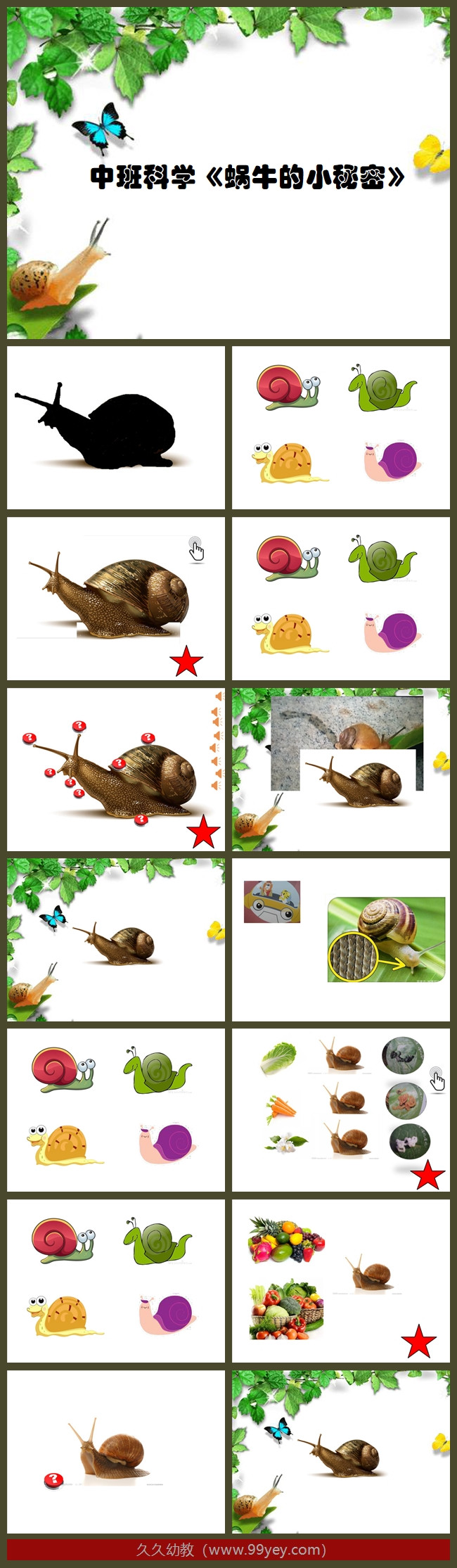 中班科学《蜗牛的小秘密》课件.jpg
